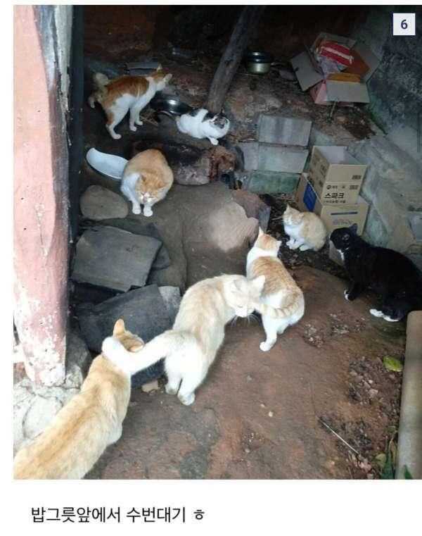 d981e20193ca30045f7e2d7de1b6a95a38a69b1681f29781b1b5efb61fddbbd77e3f869bd256464ee4d4aca7a17f08384e80bf1d3deaab306326b8d6e58cf814