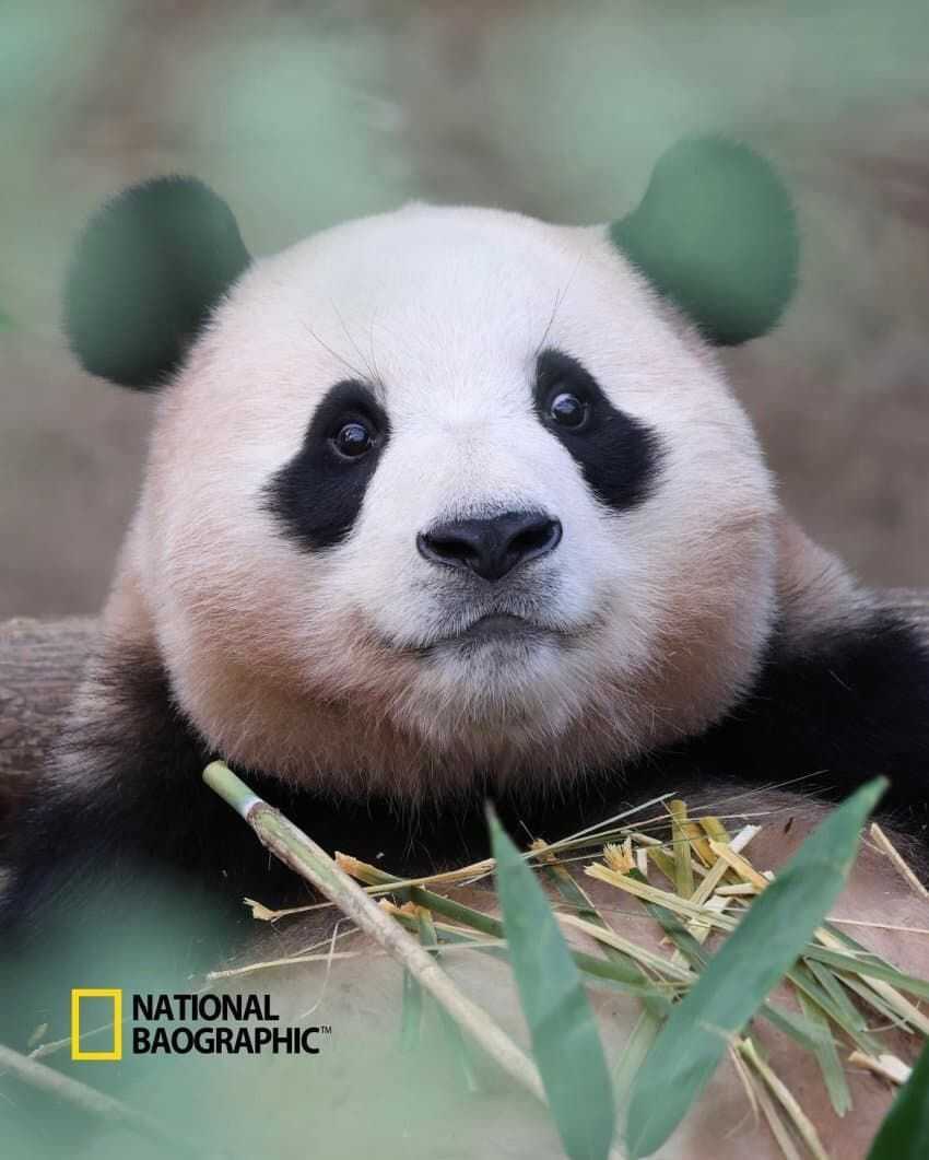 d9d6a135b54b6b27b3809284c294170c4a4b7a09f1e41849fe168010c71c79b10b975435911f9d800bb40db08b302531736778634fd633ec076bc5c13351b572