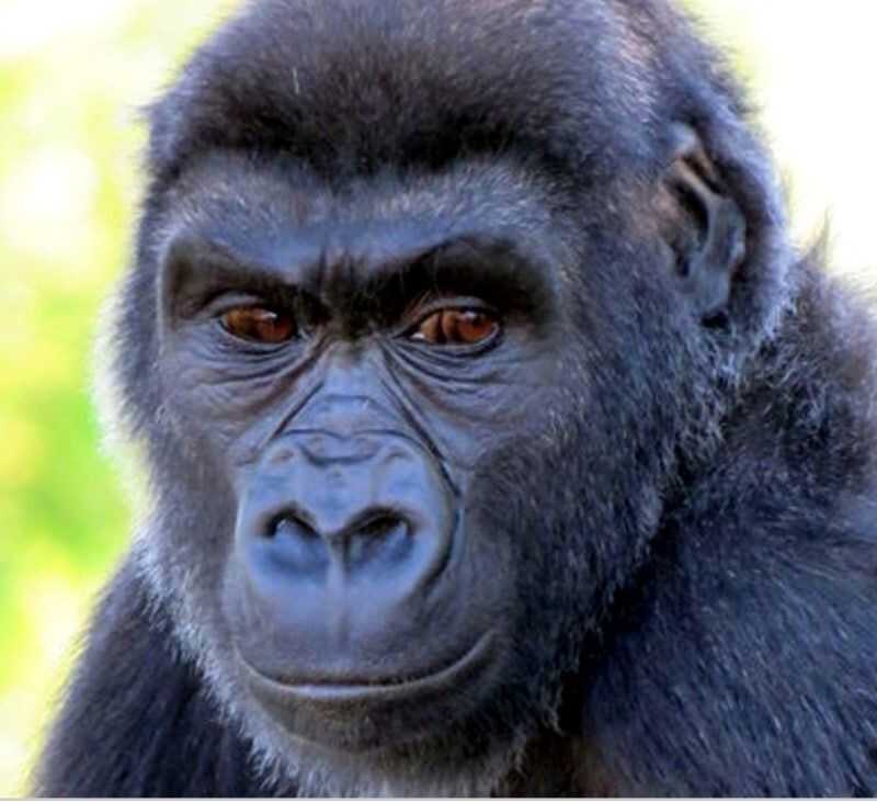 da70613c9c61b61dcf2b8e32e1d6fb15b7b7aa7e7cab023e4feeeacf3f08720906c434b70de5b1c78467ecf3e7974f6785e8503370b2ce81a57b4830b169f106