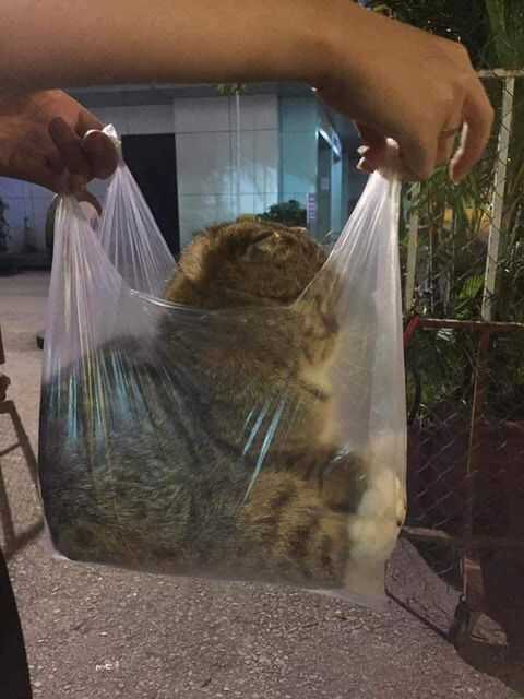 dca70c7702fbf915331a917b4fd5cacbf93780a9b6002163aaf7436b7a4d63bd5478babda02a27329ca3fadf358fc60f1558553c8c6844d610a731b10fdf1a45