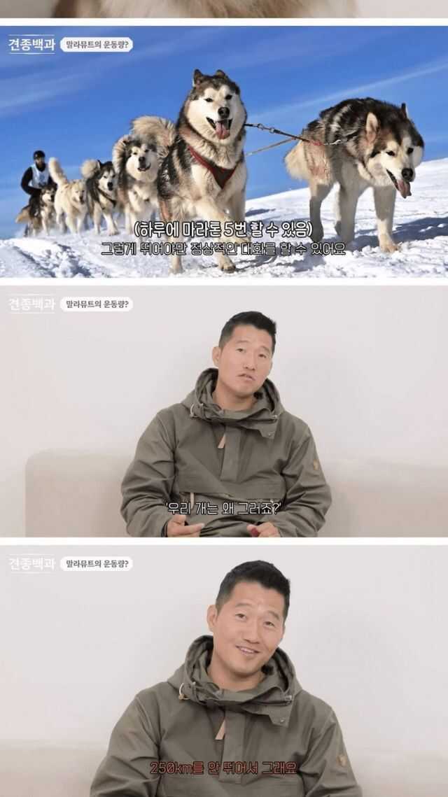 dd66872ebc4414efcd29f44facf0237fdad1f23315d53e1dc069845754f0c4df987bba5468ba31e502c32d2335cff4a7ff8c0696055b91ba2180b1d019c9a3a9