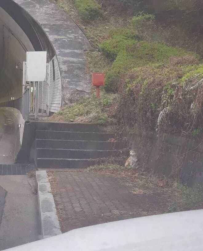 de3c99ec9a43a8eb05ec0a72993d8a8aa14fe348fc01505f0e60ecda884ba47e8b3bb600b85ed4c9a106601d762dbec4da0de76a5bcdb8c57ad8c038ffd47664