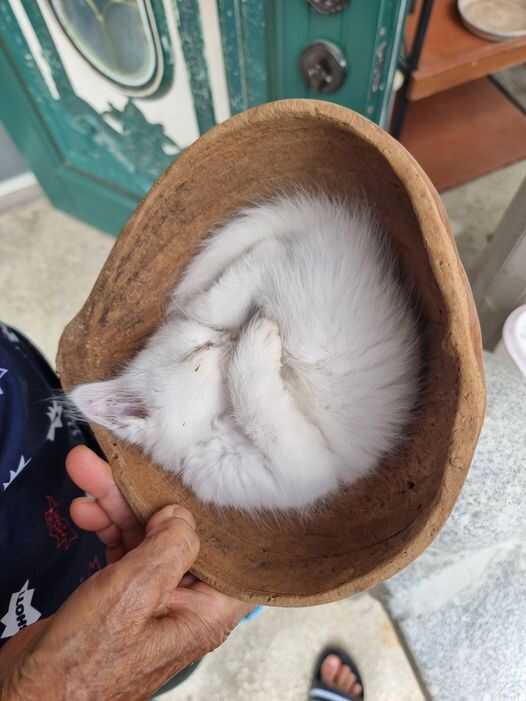 ded7ce4c543290b13e1c09c6480f7a689a1088a791a0bdbbd6aa87405f75e4aed81914fa48a452443ea3803bebc753d13866f369af16c36d5b10f3e7ef2305b6