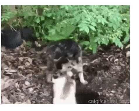 def6b697e61ba56c1c1a45c6f93ab7624ab31a8ab2ef2a27faec45be0c1729eb4f86e48eb15a2e5b9ad5d368758e91672b69d76c932c73f671b723fa35e4ff24