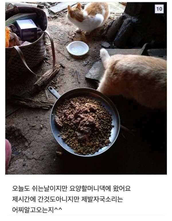 df20d04aedb33ff7e78d7b762033be2762470e75ff36d897ffea8381929b597e32c99000557469e00786b328c7e041c18ee468aad1634ec96b66b20395dc683b