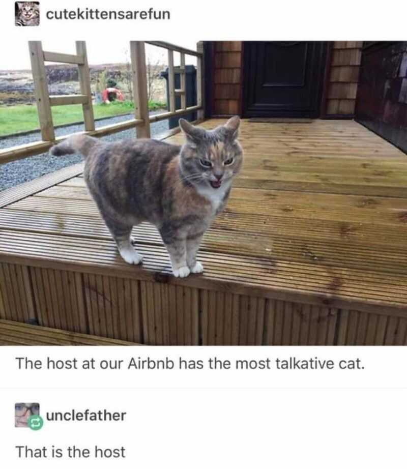 df40ef2babd9af7f567f2a9c7237efa727d87a508d91aba9cb715a8899bcb79b3cff8834f4ba7a259915b3f8b7f0cc73146cace27f4640e32b46ac1a073d40ff