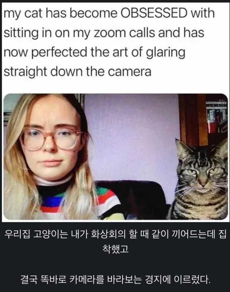 df6d4600726512a9f4fd6a61973bbbfdeaa40f37eb723ecd51e06ee6f6b95a39d2114aef682b23b615f36e30318c0146f43ac4712d1d9aa17ce3b38a46f62e03