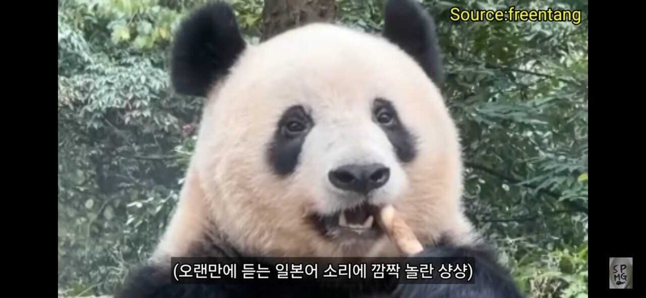 dfc3c3f5f3c22958dbde340507e4ce2805e9cce4590ad4f2972f2b205375c47eb1918c6b5fe78025ce92e0a7b325e733ad13470281352ff28e33993724f9597d