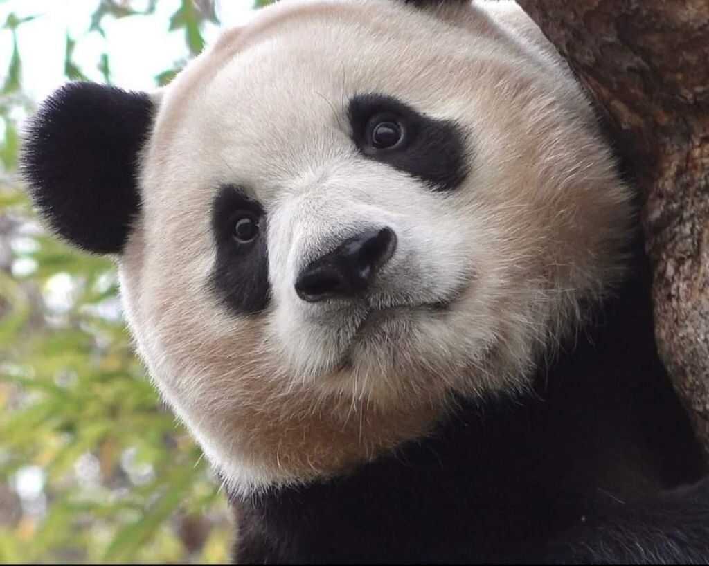 dfd81a49ad3291d4cda94e7ee8224db6bb626fbe18558bb5c7221c0b8392785ea8563f344a8504b5f915db44488df8073c229154f46ffe2227468c6cae574117