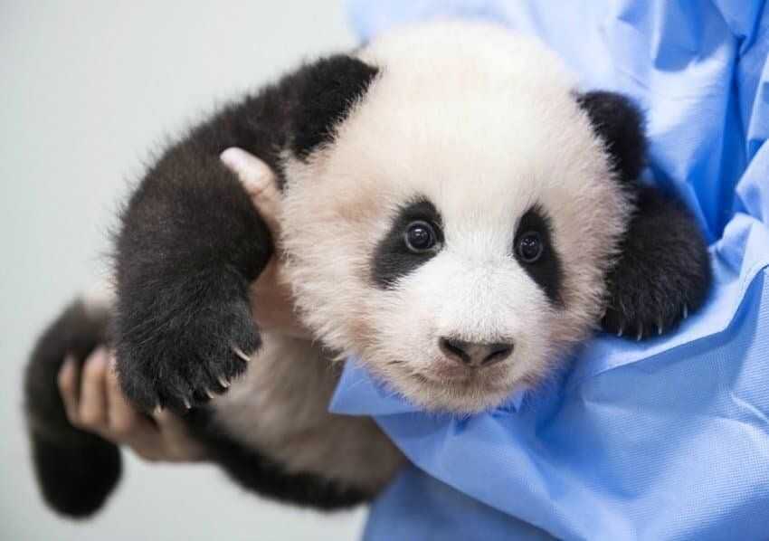 e07f2a8784b0da3334c128c07ef1d59106cb15814978e2a89f03bc13cbbf487c5025b9c576d0109582e23e66edda2d58a5adc5696534c31f2c6ed17158350687