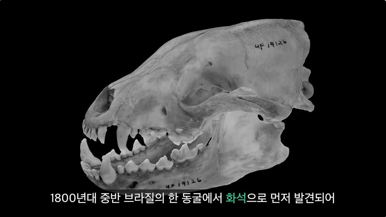 e1a44c6d1dc2fc64d6ab6e90be006b2b63218ad02923da9922fef6c4e8ae2bc8a1ffa41359fb8aeb0f03a09a46430ada6230be93ca5b06f1502608291add68f2