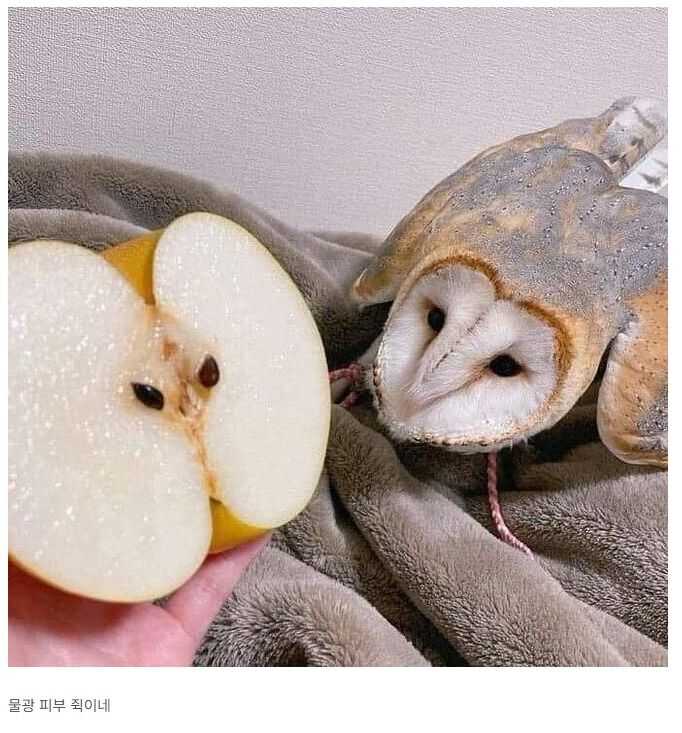 e1adfc8a370e5fbc03dd74211c01f6f4f7cd1738bdb338b6415aff5d574239ac550ebfd850b970847f6b5c07b846fcfcd69162ea28986178ed60367a50d49d7d