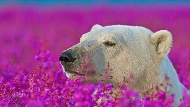 e1bc9dbb2ad6384f05ae874b59b95830dc7163cf3ce8e697b7e7a7933352f33630d0f7a25a61f04130832445bed8ba88bda2918b117bcb2dbbcc6bf3b4a51c92