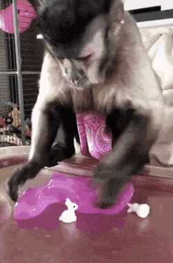 e1bd55107ba14edd458c86acf07e671bf34017f10c4189fc092bdd02f476b26d33aa239fb0811cc80ee610ba73732415675694aea566fa1e5c7cc144f55c9628