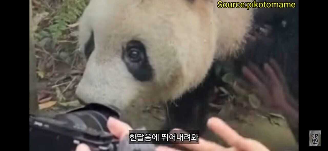 e42c0fed33b27a7553357b246934104930888bca6209db787832d412298c925f2e48fb3de7e77342e310660a66e08fa73926e1bebcb8e02033793e5596148bc4