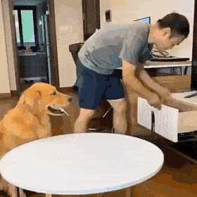 e47988708bdb3ab8b46bc8a59f1360f8c4c11c9b67817900638358ba9f482b1af2eee6c90cd1fd73c8c68341f1fcf6aa8b821859db1f65d6d8a7e81282f39f9e