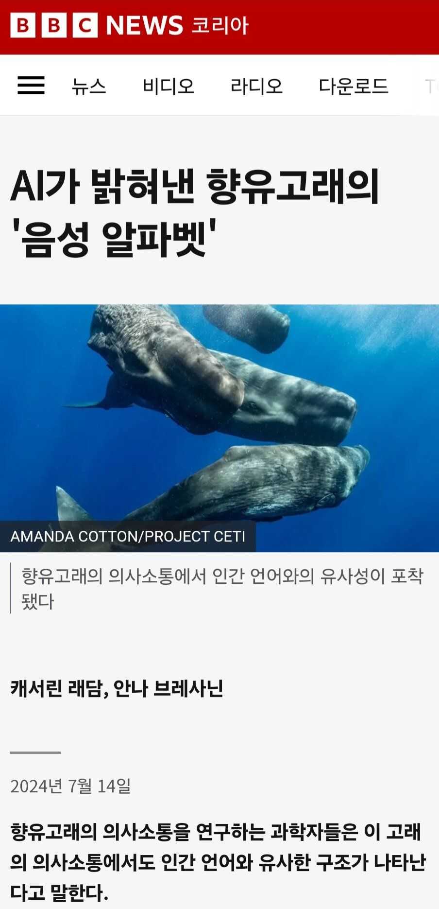 e52f02037921c69a85ab93cf6b6ea5d65063df7c3d9869d1d7f1a509ce251898f4d263ed72adb11d23811d27195f19b9fec86b2ca094e6525454ff45d0ac20d5