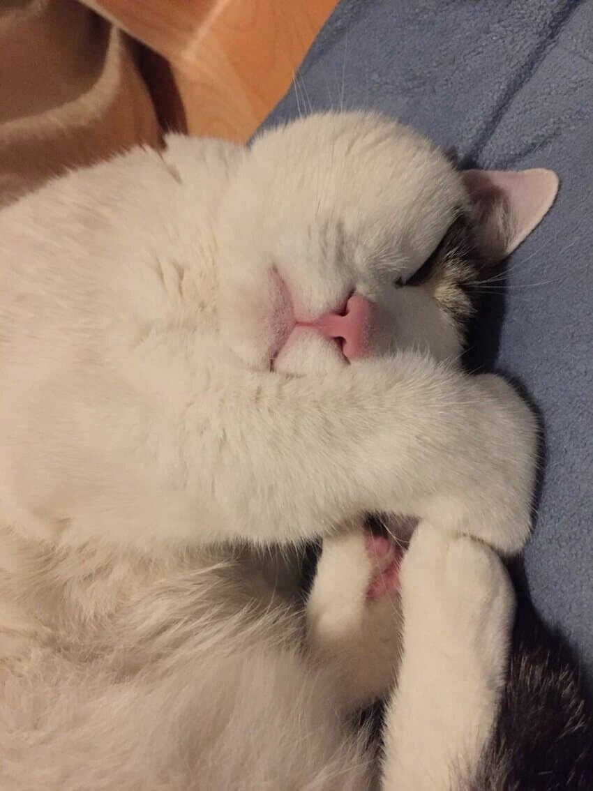 e5f765befac1227b5949197359bc626fefe4d79c212bc54c555c640ccdd815bd4ca7e0f76842fe3143b901ff648874f4865b5e3c3f16e9d10847acfc6e6a10fa