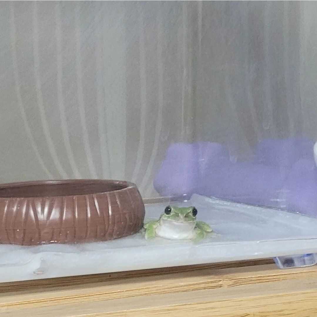 e67f60f065d330fdb492373bab6bb7d5d8a73c8ab6e38aa38df7bf53e5b051af7e2030d14ad57a8cc1df85dd9ff43a9acee36c45491bb2d20da501a9ed03413a