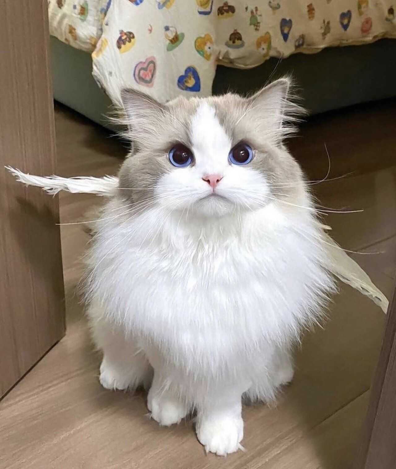 e6a8ee95f47a9c8869ff975af1f56ff98c628409011fd809bc481e486809f26fa1c857e4d9663701a0b8abdcd37484acd65ecc054c6f567cf2ecf1ba5524c78d