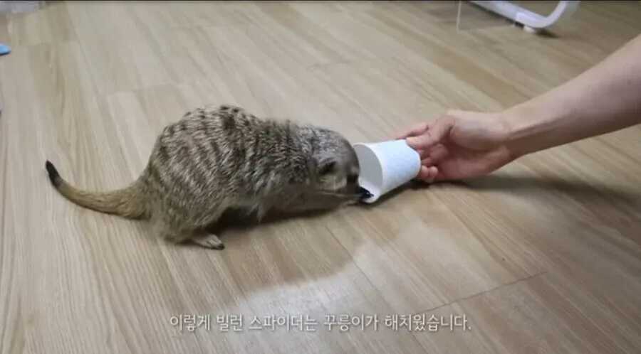 e708e200af1ed220a220e0a747674d92e512b5b16fb1fcbda471c3498fa24de46d20ecf7d06e55c1805853e39b06b74e4ce63c8ee414040363686c9e0c530c7d