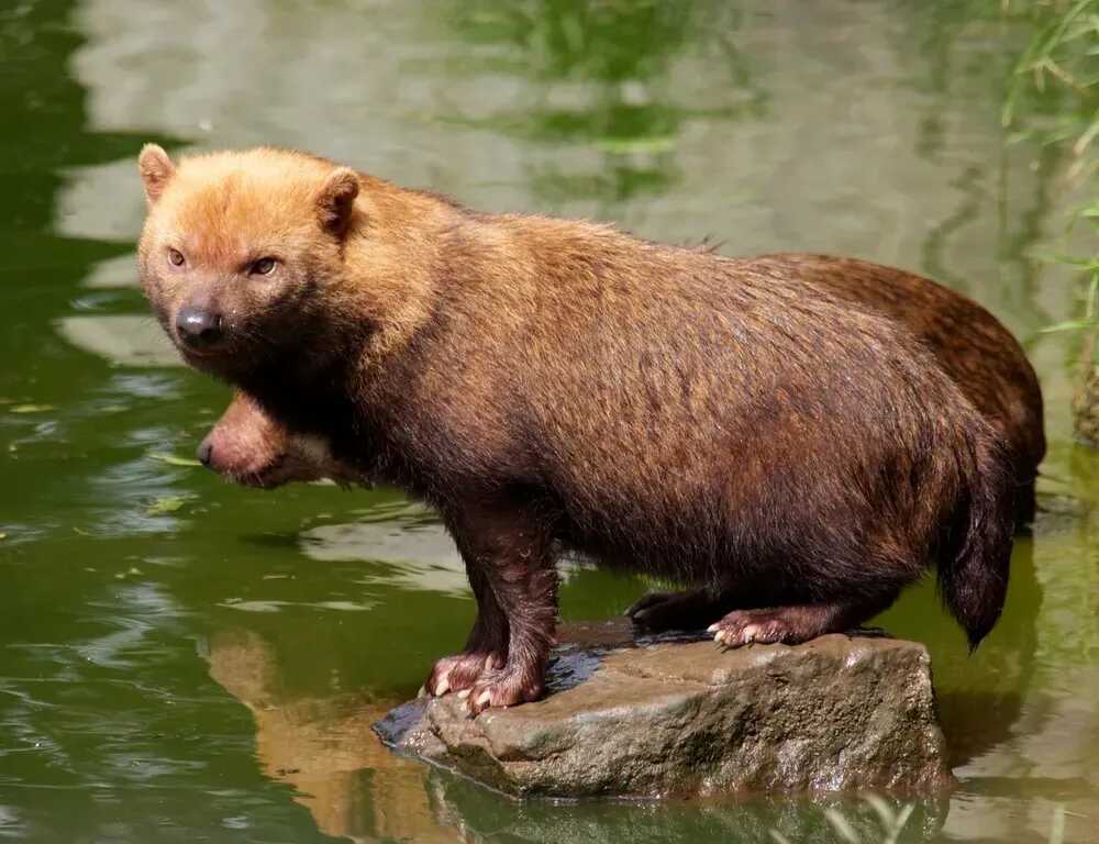 e7267a61030cd980ce9f32a8ed27310fd79e08baa92363bde7ecd4a0cd574e5212d3433943fb43749ed8a57cc954bab8ebe9080ec9a1ead7ec32a26b7627261d