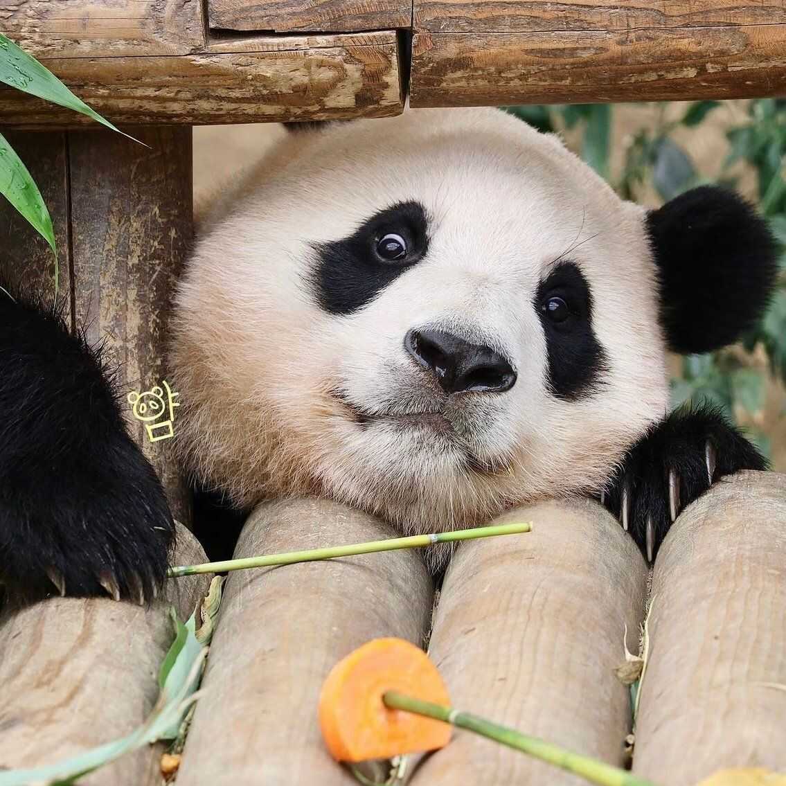 e83a8d88f1e989e9489c7022cddca72fff665afdd7139606be616a24e6b54717f338c7059305f81a391de116a929b5cc942b1460f38ad2072e6ec0d4bb1c8ad7