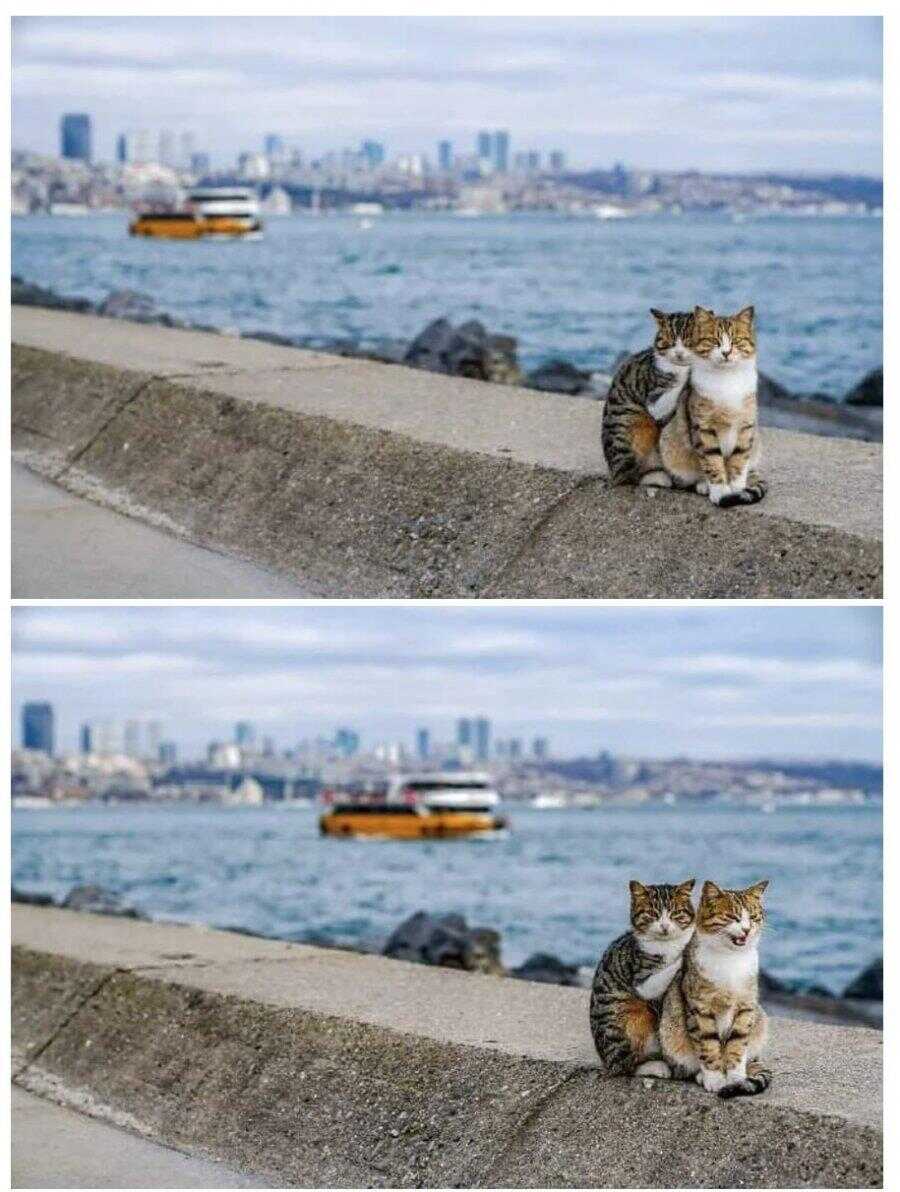 eb193345255706c196a3bf84584ff06a73d1fdf269b1421b27cf997517e48e12d8aba2ccf9770eafefeb7e27a4b9f386c32e51270e3c3f1f192bc89ddaa76ae0