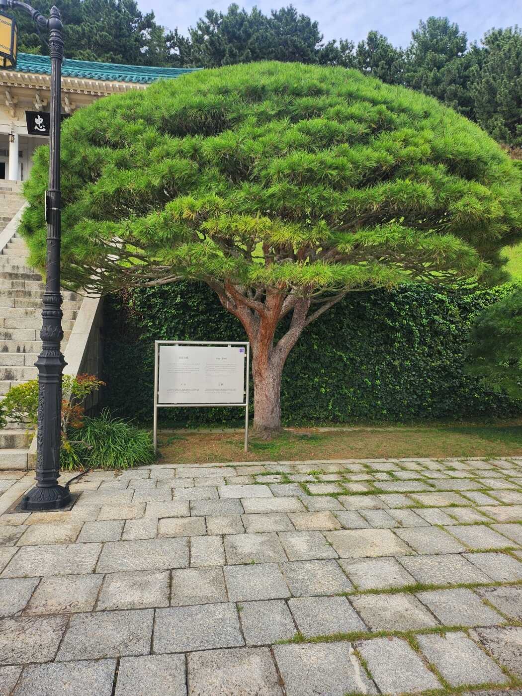 eb2fdd3c9ef6eee81a1e138229fea99f8a2849b3eba47467843471d4c1f7f75c3f6137f4cc97a878f692b29cbfe0aa5d3e161ca5bc4cbb50c72bb8a0731c56a4