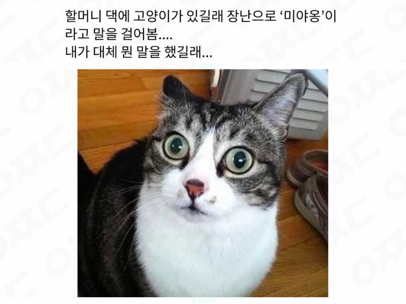 ebf4fd47309bb9c0208eb5f1e724410ea86242d7fda4a98c60169b931706d184f3697e175dcb25d68e7feb52d05e0932c1e12375e734a523b878535296d3cf65