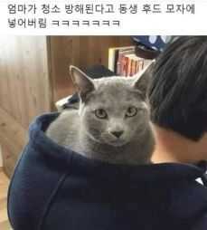 ed24a9a59158da88f173573572b6d222a1a28f9c1f391e35fa1c35fc7ecadd43caa9ffd47940d71f2329a987af22e36ebb52e388714cfe0e4070576cc6f89a39