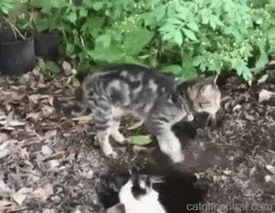 ef21f0aae8ce1953683ed9f6b4b2d5ec36209f67b8f3bc82d678bd21cff66ed7682985d31c574c28f5e369c3aad65d4393cbdb68a931c81b36914949cae502fb