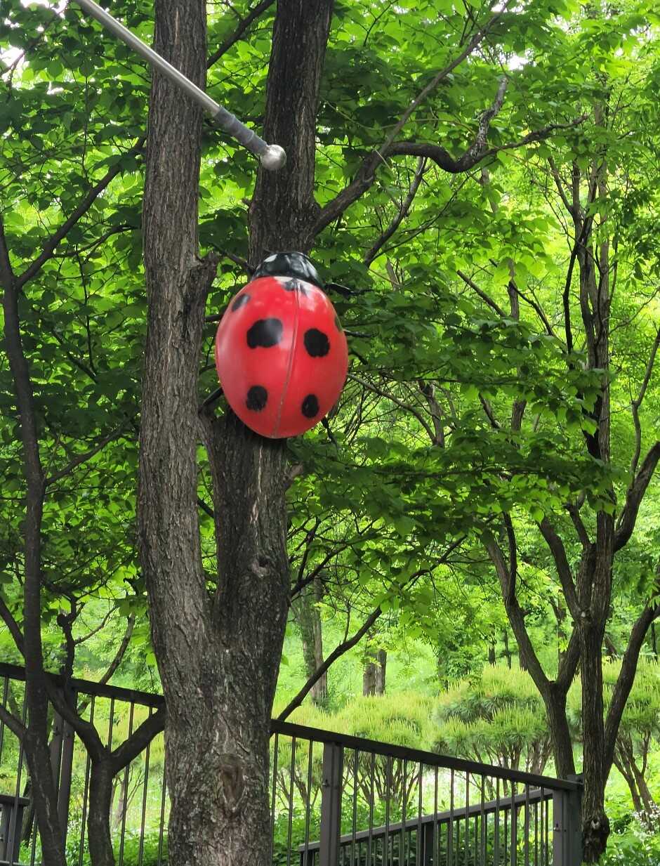 ef983d61ef41dd6144d48897e5eabdacfa74dd06cf846a7cbdcbaaf694296173ee87d54b75866357edbfe37e7dddf85415cac71814e091dcad9df428b45da74d