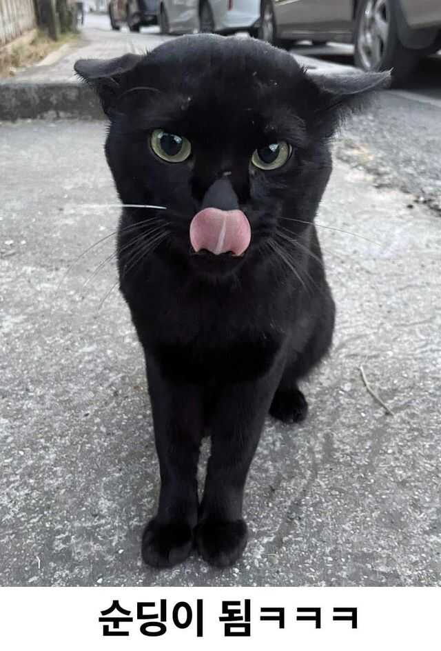 f15d8bdc9ca9470c4c1a66f3d8e0d88441ab4b6f512b44c46aae4ef711fbb9f8f68c8e59fe9164e46a76374eebb0858c072a1dba42e808915e1ea37442d92dd5