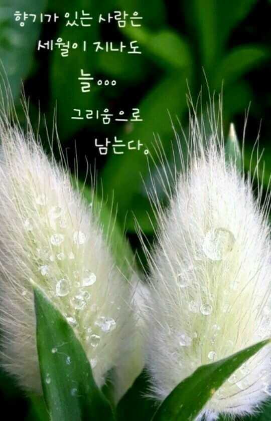 f1ed97a2e460411f927bcb2f1181275625ded97473d4d72850e7a8527ca0a5c13a7cc4154a1a0b79db6286a023e1be0c602b7d93ed860ee11a76fbd9eee6679a