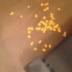 f26450989ebcdbf6ca4ef5c239d60aa99dbee37da29270cb33aa5e8a77a2d9e004a2511d67432418dcade7602fb8444d42c313125f8d58e1fa80e8efd9807127