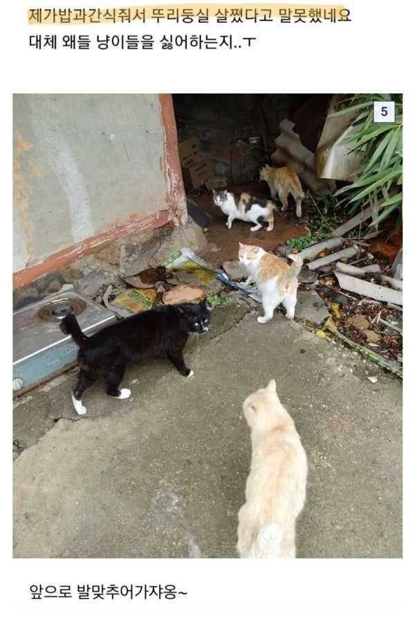 f3057cd93494b46df0039cb51a3e77012705f4c6c69291034fcb5090c6e4c18f7196acf928d3fcb287a1d3090afdacc5920534209f33ba51f8d8bc8eb5ef55b8