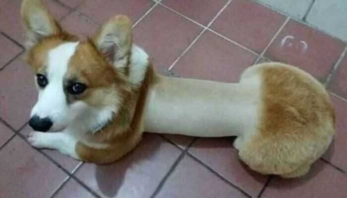 f47724d021fe4fe363a5deea2feca79ca51a17e027eac0259bced6159bd84e25d0a624a9ad970131193f994b38511f82c6a809d733743657076ab3bb0a10827b