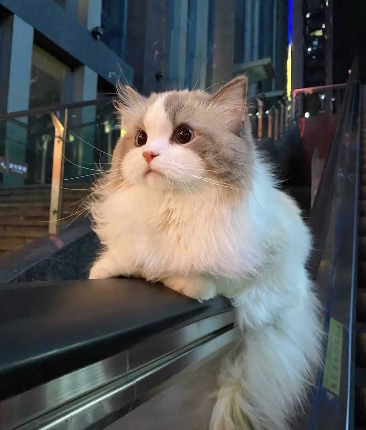 f4f2e5e519d3bbf6a5b76e052e6aa949a65199f61b23f1925f375909affb94c69edb5885f1ab31bc514acb85d27614665da87ae65c8212f66583895b14e240f4