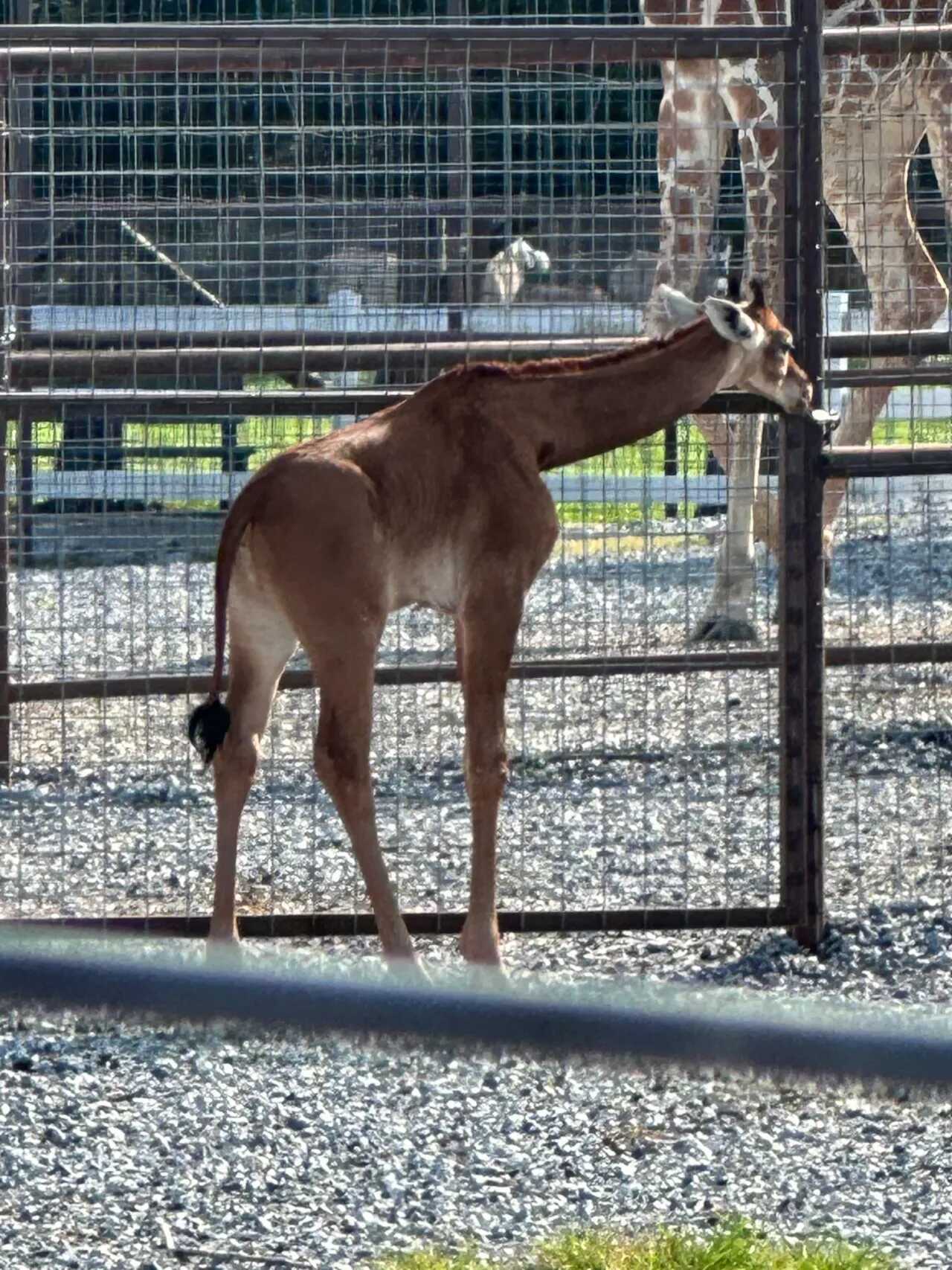 f57c2a0c88d910856462c2f9b5244fadb89d977009b0657895ddd2bfb68244672df392134bdc83ebac6471ff53bfaebfa17c86ae507119baa07942b647b14028