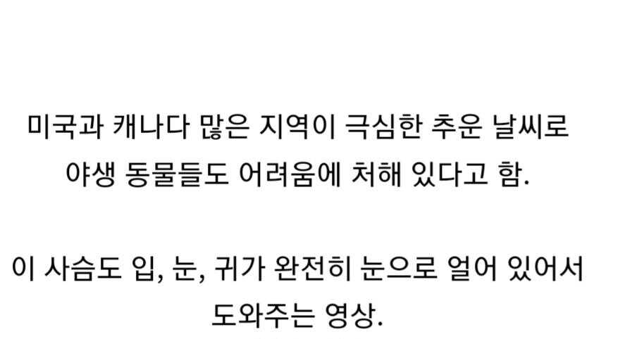 f6a129c7089ba32b0c52ea39474fd8f23e5f84a7e5af4f211372f18168aa34c931c0d84eb0cc73f8b8ab03638190b16688a4652edc1d9a6dcb43d2ad388d59aa