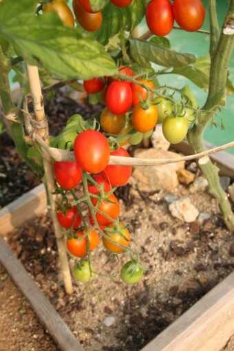 f728e11088a23d7023be60b0aa140e5dc9e773e08c98c8fa0298e484d2c7bcf5d0581a6e819917ba69d9bacfe0108e3a29eeecbcd7ef87ce64d88e2a2d731d95