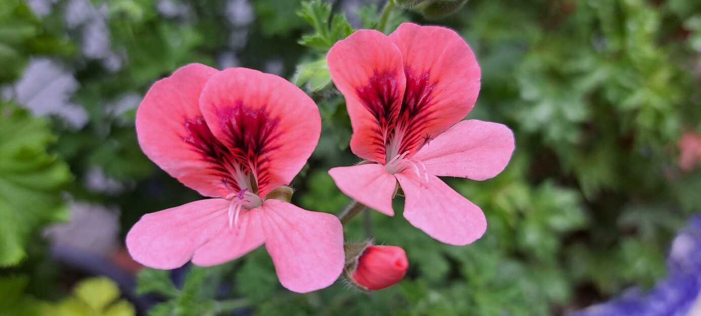 f7be6027165df5e6f5415a7c9924acda52e86b74bbdaf642766c9cea46427de0bc616963b27539c0086f8dfaa7f4665da81f14ebea4c45bfd41e4fbd44d33a6f