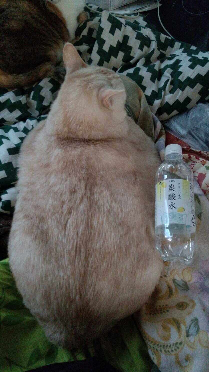 fa07181366de388737671b86d2862138d6722700a7eda324f2595c179c7b62a9cf247c43501b32b187b7ee1bf5e04502a6016f607cdfff83c18d91fc1463c64b