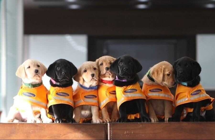 fa782a8171ccb9f92a112ef6c8d22e713c75c1e758f03af51213c433177a65dfa3086c093cd56a6f983694ef83d624f9702d6c7d04e6bab7176ea80337d4a0d4