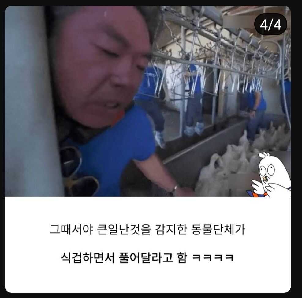 fd1c278091738c07ea2b1787ac85706c6262b5d8a3404035242d73dffb1ecbd88685a26c18f0b0ff7f1ffdbeaaf819e0a1b07bf1cb748d794ab9a5015e5b0329