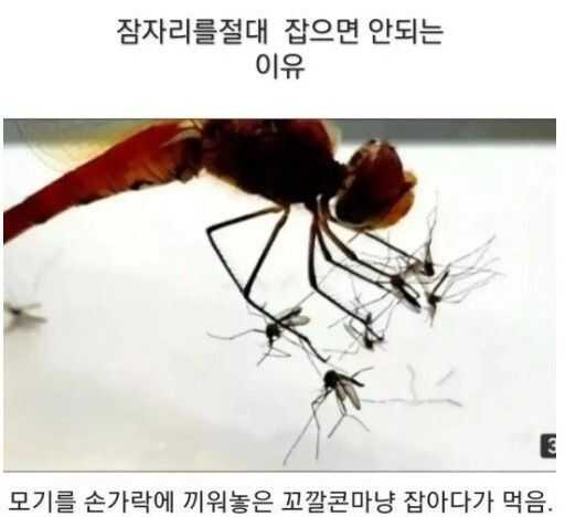 fe0e71b8b224c67fbb6cff95286e5895152a3b8ec443ee1c6d4eca5af1779e5c851e36724184b4c65fdff0c214546b08157000827ba346d498a6026ba41f4111