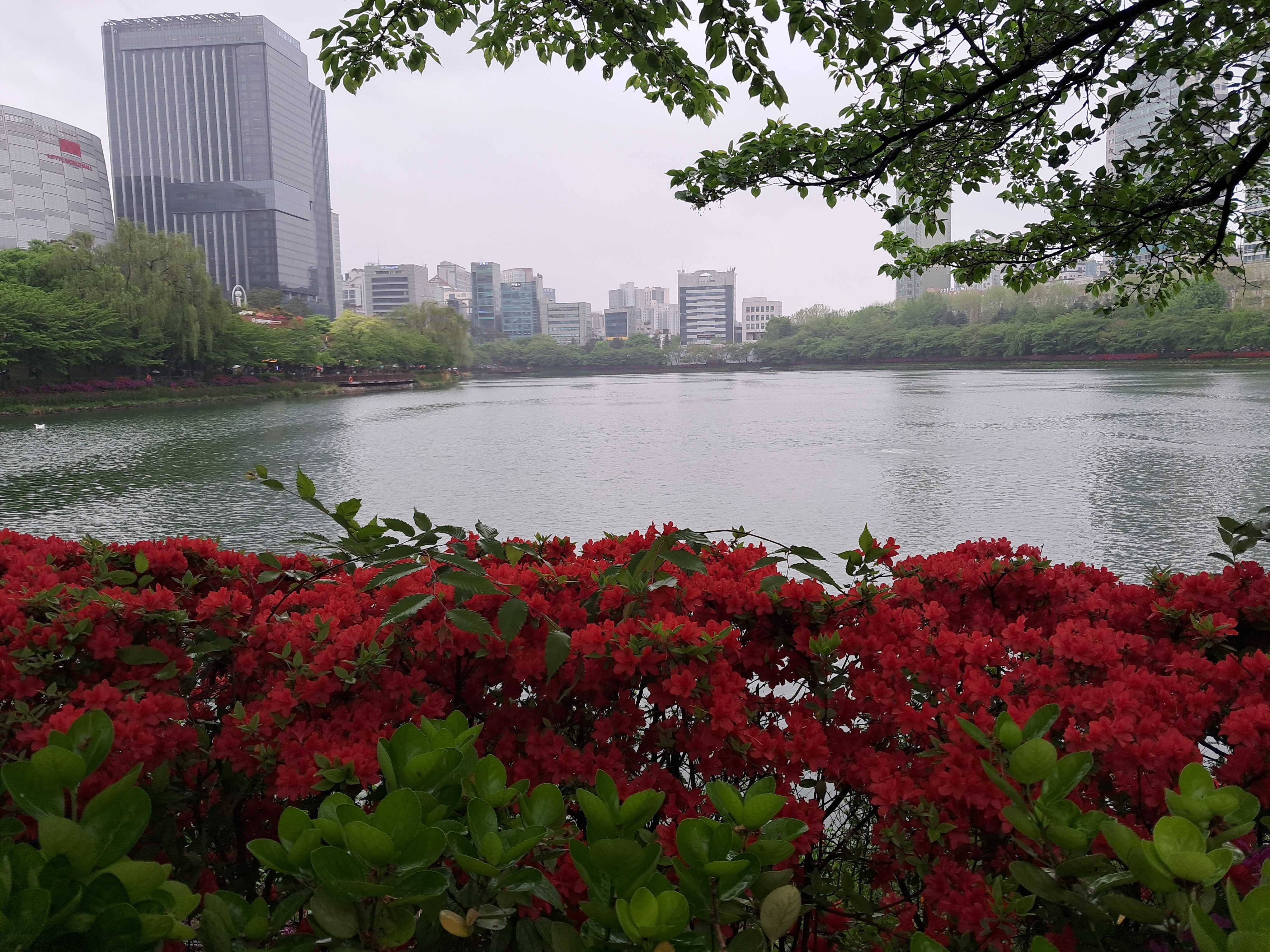 fe2d5f3f711a86a69a51706f5bf8b54f8dc8958fa1d8c053e7714c10a00e555e09850be524b6dc4bc935c93b98f40750045fdb7de907cec81b680f971c77df3c